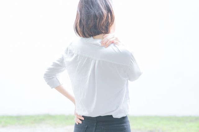 24940743_s (1).jpg